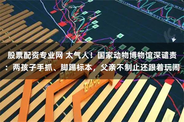 股票配资专业网 太气人！国家动物博物馆深谴责：两孩子手抓、脚踢标本，父亲不制止还跟着玩闹